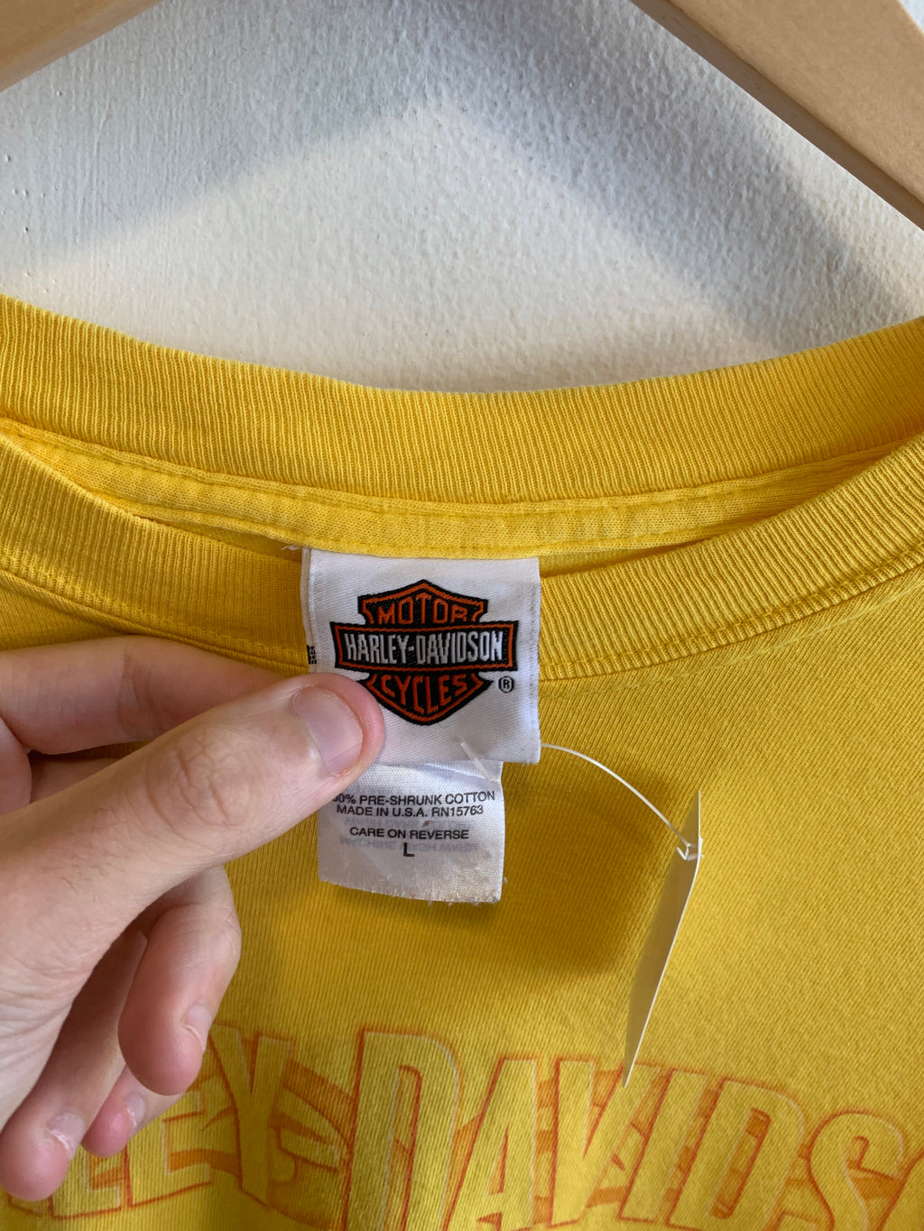 2000’s Harley Davidson Flame Long Sleeve